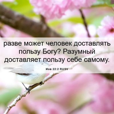 Picture 06 - Иов 22:2 RUSV - разве может человек - Bible Verse Picture