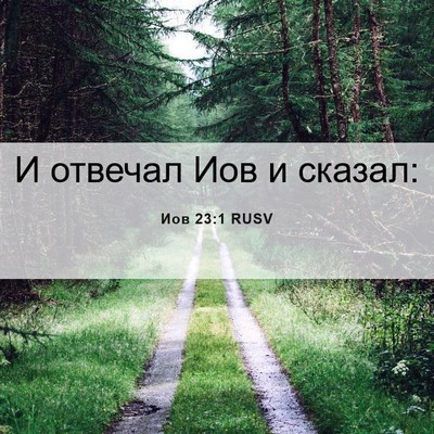 Picture 06 - Иов 23:1 RUSV - И отвечал Иов и - Bible Verse Picture