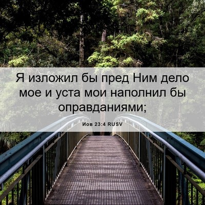 Picture 06 - Иов 23:4 RUSV - Я изложил бы пред Ним дело - Bible Verse Picture