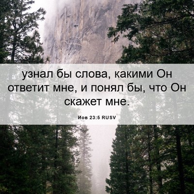 Picture 06 - Иов 23:5 RUSV - узнал бы слова, какими Он - Bible Verse Picture