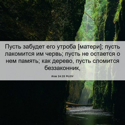 Picture 06 - Иов 24:20 RUSV - Пусть забудет его утроба - Bible Verse Picture