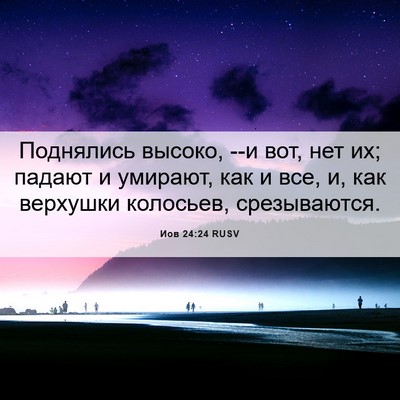 Picture 06 - Иов 24:24 RUSV - Поднялись высоко, --и вот, - Bible Verse Picture