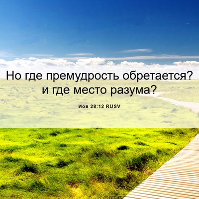 Picture 06 - Иов 28:12 RUSV - Но где премудрость - Bible Verse Picture