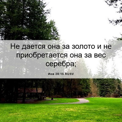 Picture 06 - Иов 28:15 RUSV - Не дается она за золото и - Bible Verse Picture