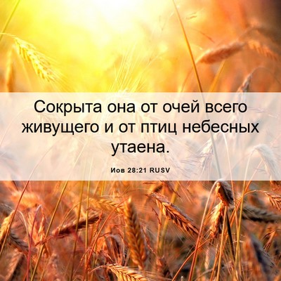 Picture 06 - Иов 28:21 RUSV - Сокрыта она от очей всего - Bible Verse Picture