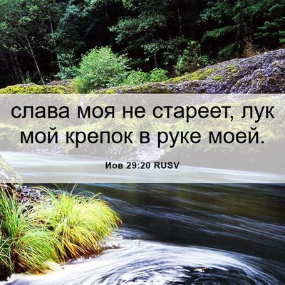 Picture 06 - Иов 29:20 RUSV - слава моя не стареет, лук - Bible Verse Picture