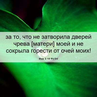Picture 06 - Иов 3:10 RUSV - за то, что не затворила - Bible Verse Picture