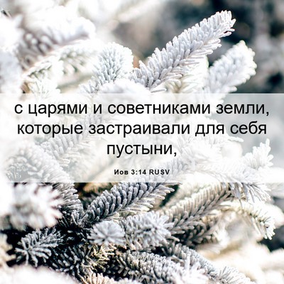 Picture 06 - Иов 3:14 RUSV - с царями и советниками - Bible Verse Picture