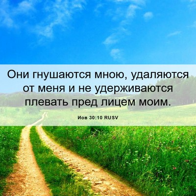 Picture 06 - Иов 30:10 RUSV - Они гнушаются мною, - Bible Verse Picture