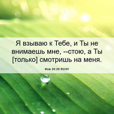 Picture 06 - Иов 30:20 RUSV - Я взываю к Тебе, и Ты не - Bible Verse Picture