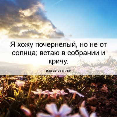 Picture 06 - Иов 30:28 RUSV - Я хожу почернелый, но не от - Bible Verse Picture
