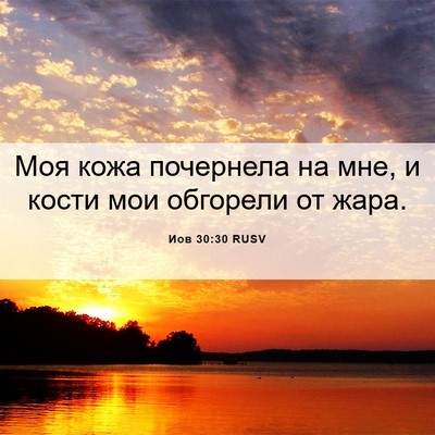 Picture 06 - Иов 30:30 RUSV - Моя кожа почернела на мне, - Bible Verse Picture