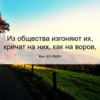 Picture 06 - Иов 30:5 RUSV - Из общества изгоняют их, - Bible Verse Picture