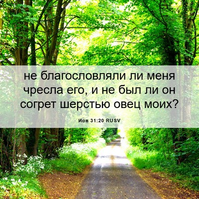 Picture 06 - Иов 31:20 RUSV - не благословляли ли меня - Bible Verse Picture