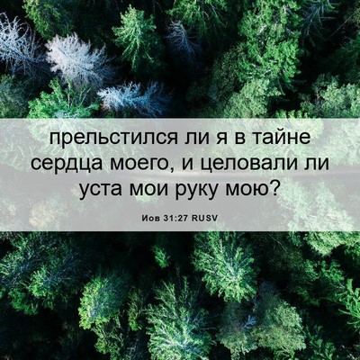 Picture 06 - Иов 31:27 RUSV - прельстился ли я в тайне - Bible Verse Picture