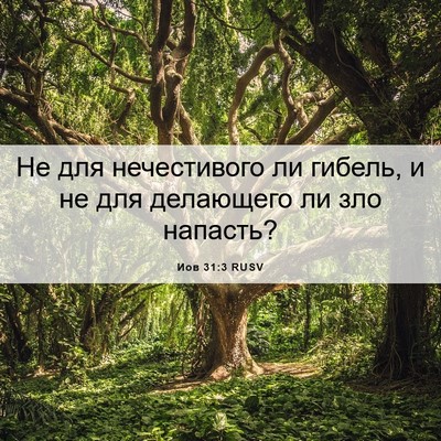 Picture 06 - Иов 31:3 RUSV - Не для нечестивого ли - Bible Verse Picture