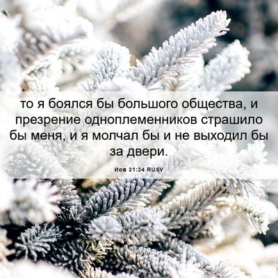 Picture 06 - Иов 31:34 RUSV - то я боялся бы большого - Bible Verse Picture