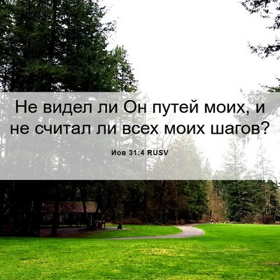 Picture 06 - Иов 31:4 RUSV - Не видел ли Он путей моих, и - Bible Verse Picture