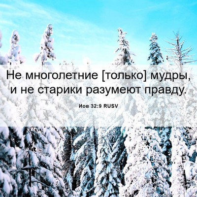 Picture 06 - Иов 32:9 RUSV - Не многолетние [только] - Bible Verse Picture