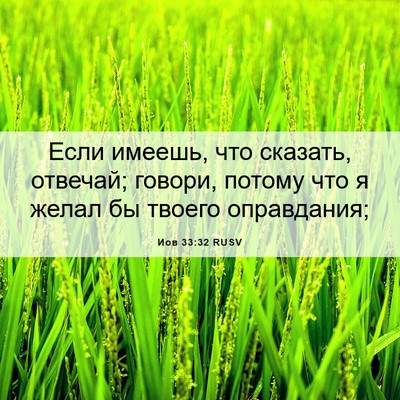 Picture 06 - Иов 33:32 RUSV - Если имеешь, что сказать, - Bible Verse Picture