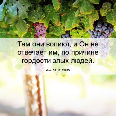 Picture 06 - Иов 35:12 RUSV - Там они вопиют, и Он не - Bible Verse Picture
