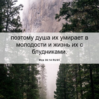 Picture 06 - Иов 36:14 RUSV - поэтому душа их умирает в - Bible Verse Picture