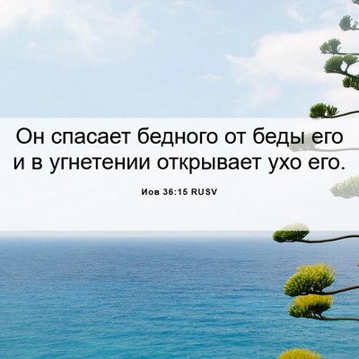 Picture 06 - Иов 36:15 RUSV - Он спасает бедного от беды - Bible Verse Picture