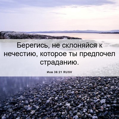 Picture 06 - Иов 36:21 RUSV - Берегись, не склоняйся к - Bible Verse Picture