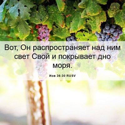 Picture 06 - Иов 36:30 RUSV - Вот, Он распространяет над - Bible Verse Picture