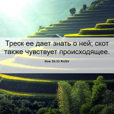 Picture 06 - Иов 36:33 RUSV - Треск ее дает знать о ней; - Bible Verse Picture