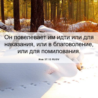 Picture 06 - Иов 37:13 RUSV - Он повелевает им идти или - Bible Verse Picture