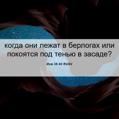 Picture 06 - Иов 38:40 RUSV - когда они лежат в берлогах - Bible Verse Picture