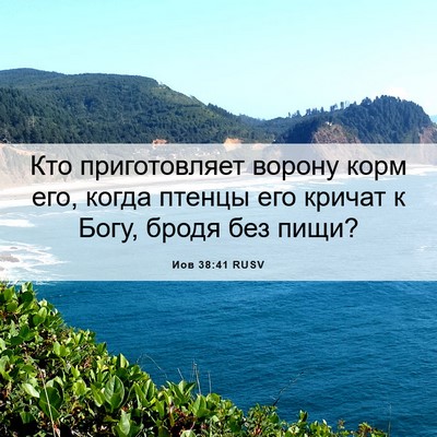 Picture 06 - Иов 38:41 RUSV - Кто приготовляет ворону - Bible Verse Picture
