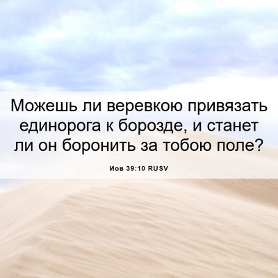 Picture 06 - Иов 39:10 RUSV - Можешь ли веревкою - Bible Verse Picture