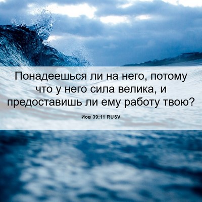 Picture 06 - Иов 39:11 RUSV - Понадеешься ли на него, - Bible Verse Picture