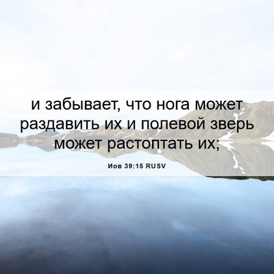 Picture 06 - Иов 39:15 RUSV - и забывает, что нога может - Bible Verse Picture