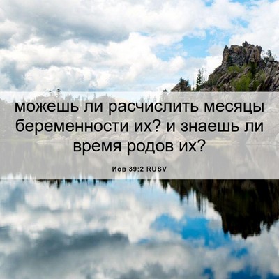 Picture 06 - Иов 39:2 RUSV - можешь ли расчислить - Bible Verse Picture