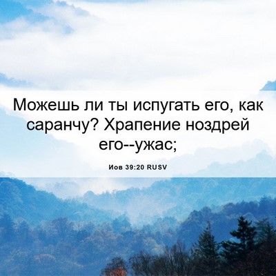 Picture 06 - Иов 39:20 RUSV - Можешь ли ты испугать его, - Bible Verse Picture