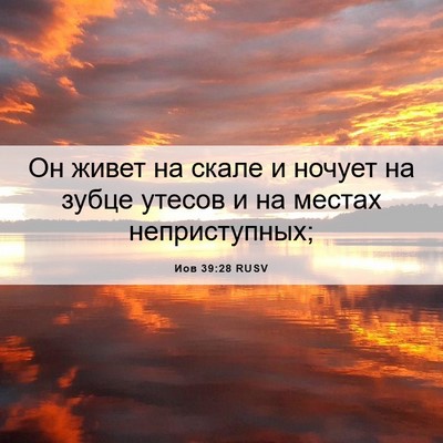 Picture 06 - Иов 39:28 RUSV - Он живет на скале и ночует - Bible Verse Picture