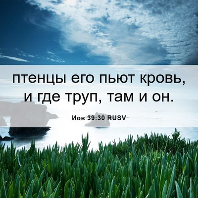 Picture 06 - Иов 39:30 RUSV - птенцы его пьют кровь, и - Bible Verse Picture