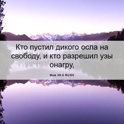 Picture 06 - Иов 39:5 RUSV - Кто пустил дикого осла на - Bible Verse Picture