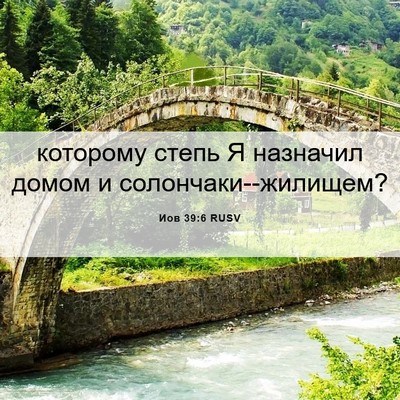 Picture 06 - Иов 39:6 RUSV - которому степь Я назначил - Bible Verse Picture