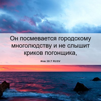 Picture 06 - Иов 39:7 RUSV - Он посмевается городскому - Bible Verse Picture