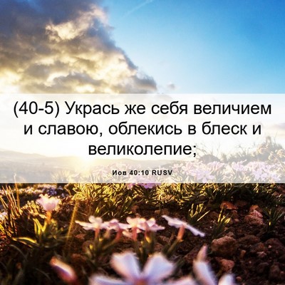 Picture 06 - Иов 40:10 RUSV - (40-5) Укрась же себя - Bible Verse Picture