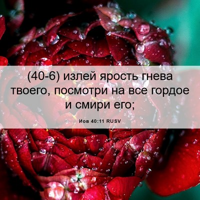 Picture 06 - Иов 40:11 RUSV - (40-6) излей ярость гнева - Bible Verse Picture
