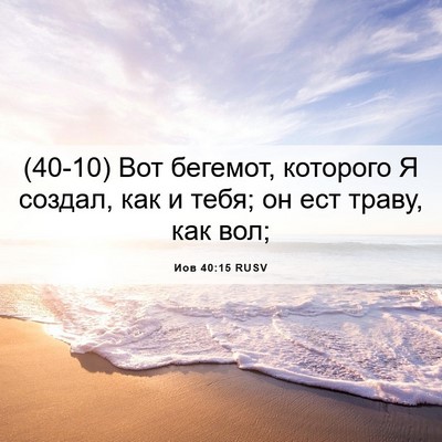 Picture 06 - Иов 40:15 RUSV - (40-10) Вот бегемот, которого - Bible Verse Picture