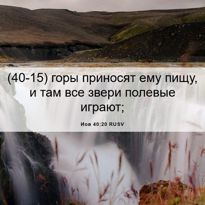 Picture 06 - Иов 40:20 RUSV - (40-15) горы приносят ему - Bible Verse Picture
