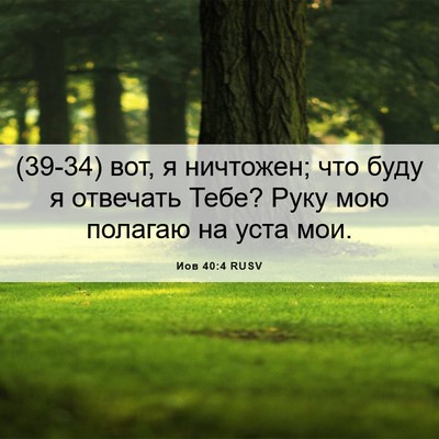 Picture 06 - Иов 40:4 RUSV - (39-34) вот, я ничтожен; что - Bible Verse Picture