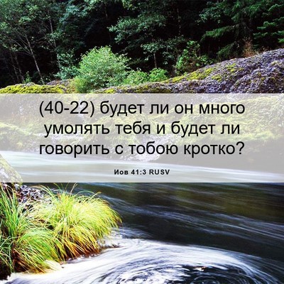 Picture 06 - Иов 41:3 RUSV - (40-22) будет ли он много - Bible Verse Picture