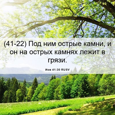 Picture 06 - Иов 41:30 RUSV - (41-22) Под ним острые камни, и - Bible Verse Picture